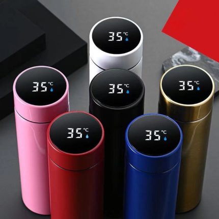 Intelligent Outdoor 500ml Stainless Steel Water Bottle