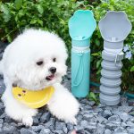 Bpa Free Lightweight Collapsible Puppy Accessories