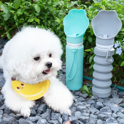 Bpa Free Lightweight Collapsible Puppy Accessories