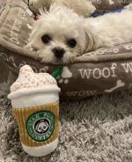 Cup Bottle Shape Coffee Shape Dog Chew Toys - Image 3