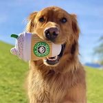 Cup Bottle Shape Coffee Shape Dog Chew Toys - Image 4