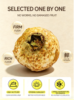 Natural high-vitamin C freeze-dried fruits from China - Image 3