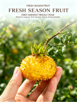 Natural high-vitamin C freeze-dried fruits from China - Image 2