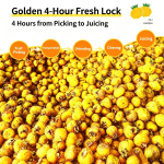 Guizhou Speciality 100% Hawthorn Juice - 100% natural,high vitamin C content - 2 liters - Image 4